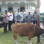 Pemprov Maluku salurkan 2 ekor Hewan Kurban ke ke Saparua