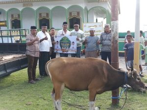 Pemprov Maluku salurkan 2 ekor Hewan Kurban ke ke Saparua